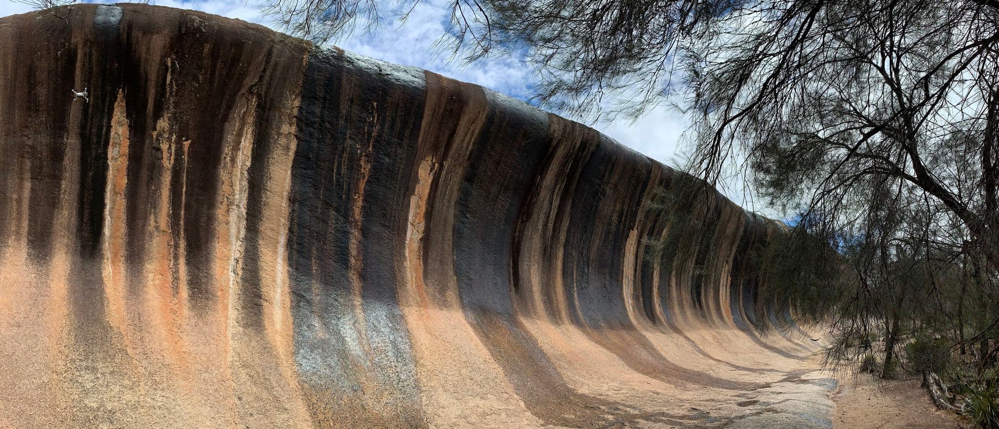 Cover Image for TypeScript and Python developer